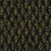 Black Walnut